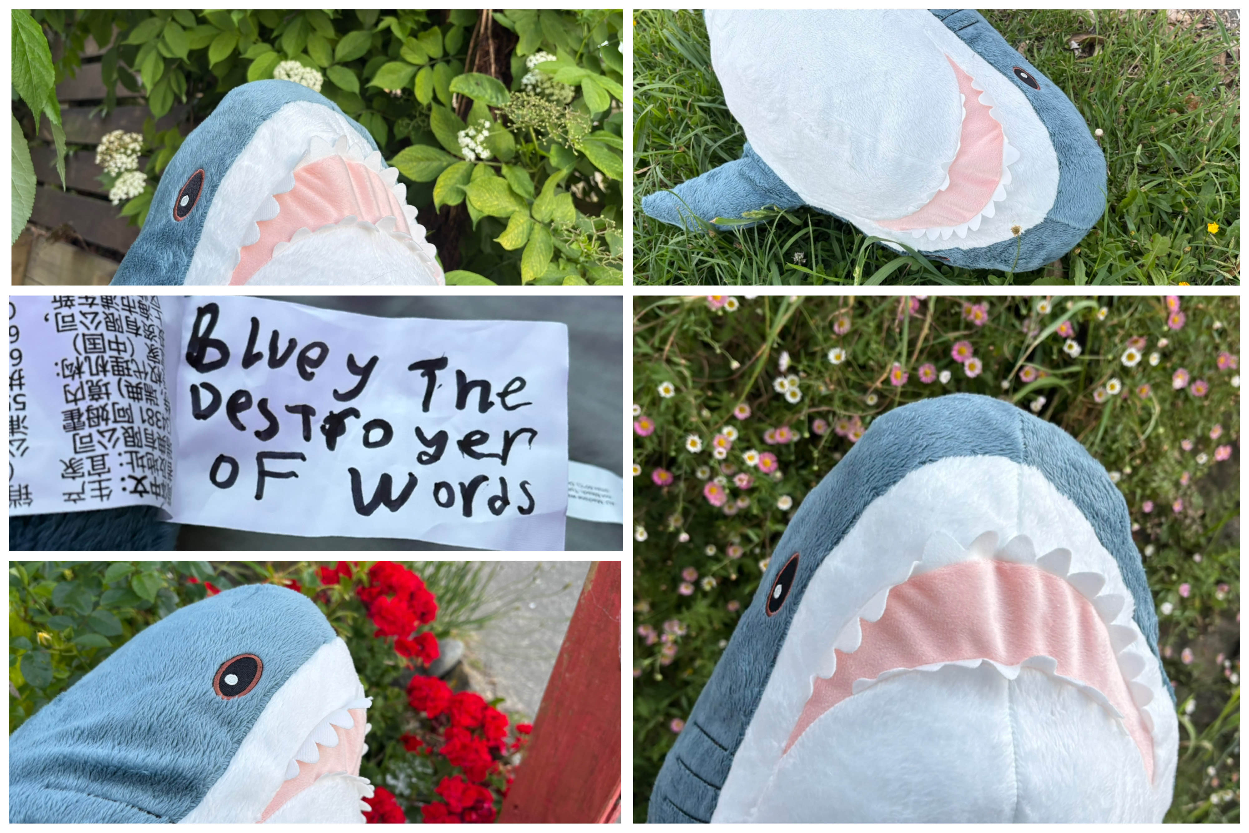 Bluey, the Destroyer of Worlds