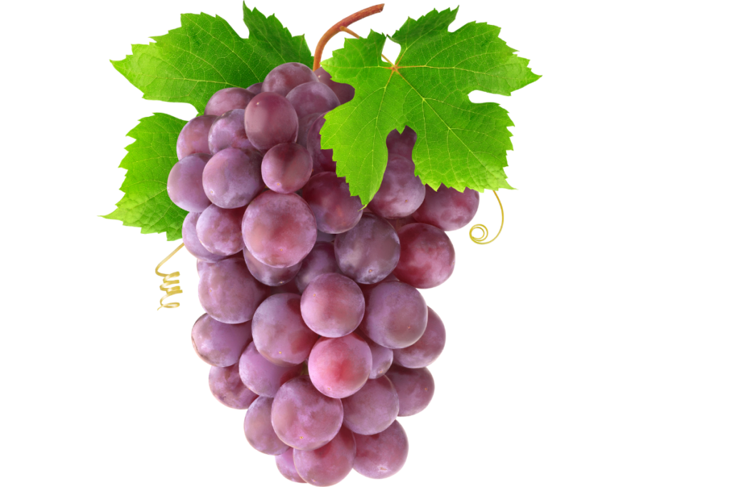 Grape